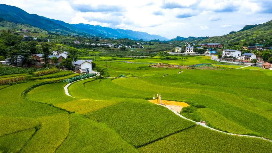 2 东升村风景.JPG