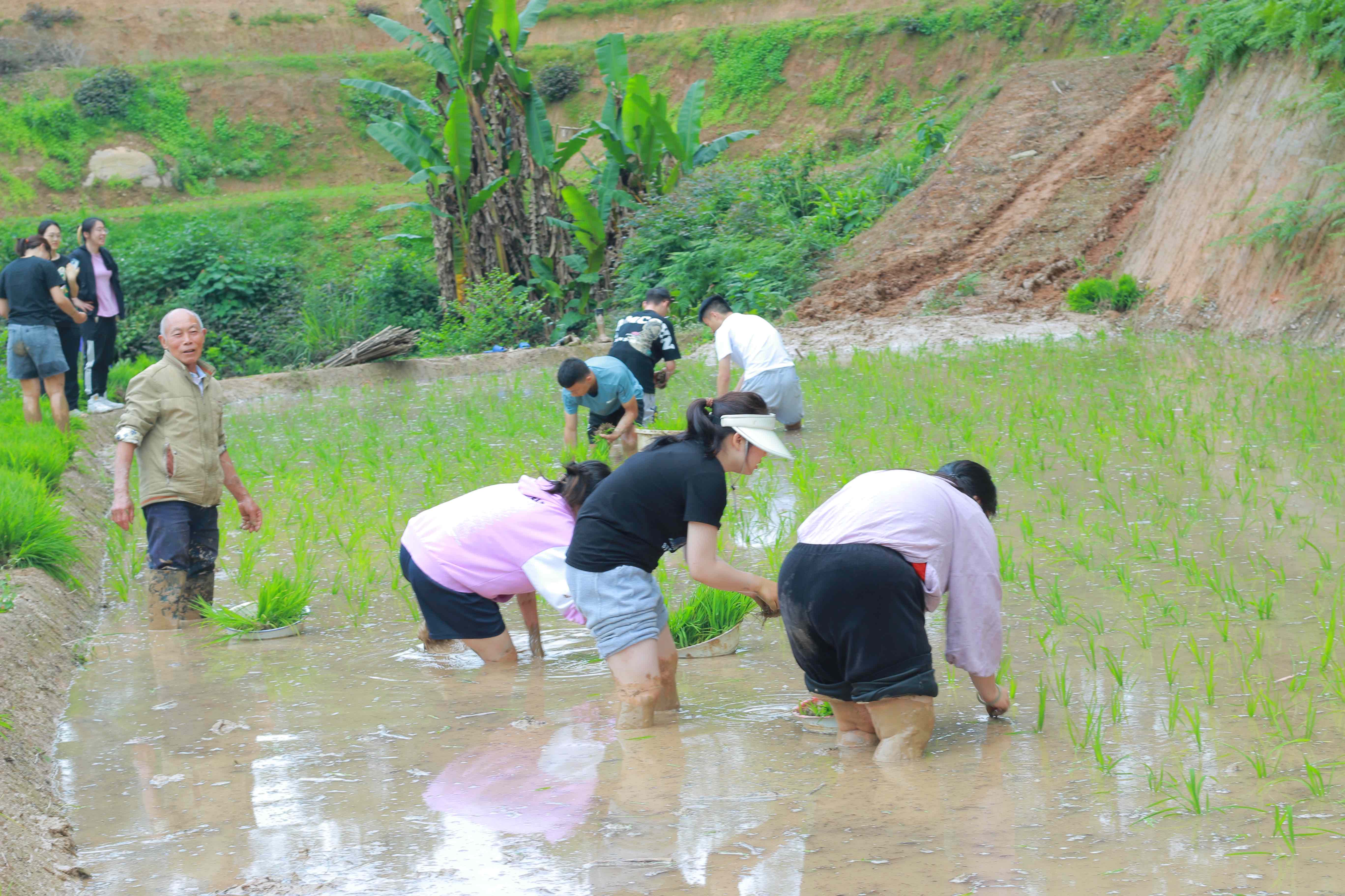 14-实习生在乡村实践.jpg